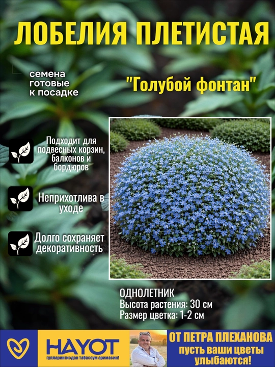 Семена многолетних и ампельных цветов: Люпин, Гайлардия, Рудбекия, Лобелия (П. Плеханов) - 