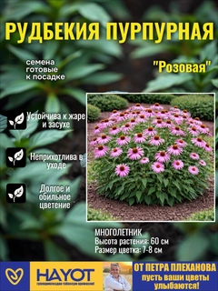 Розовый