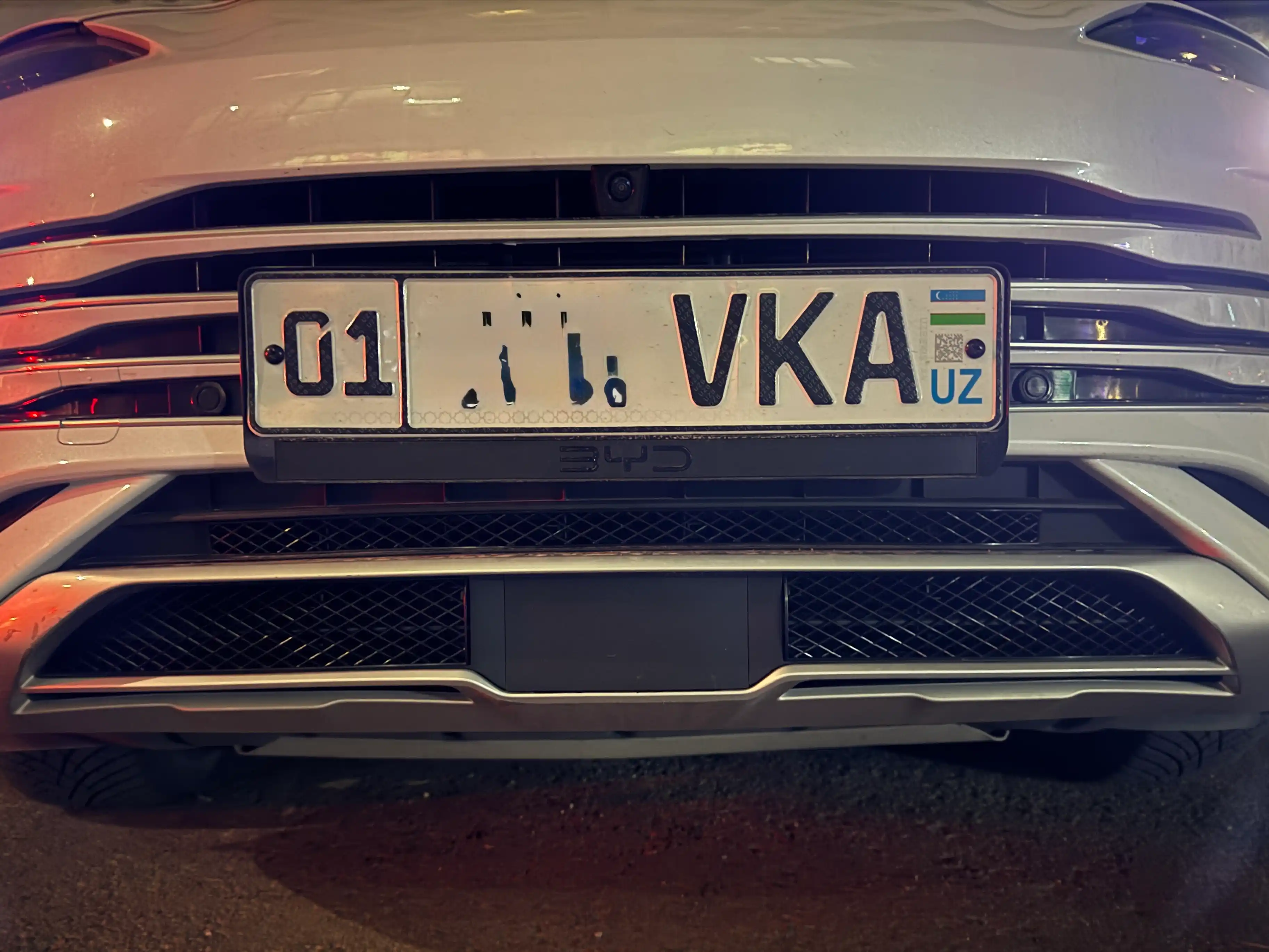 BYD CHEMPION DM-i / EV-dagi bamper radiator panjarasi uchun, tosh va axloqsizlikdan himoya