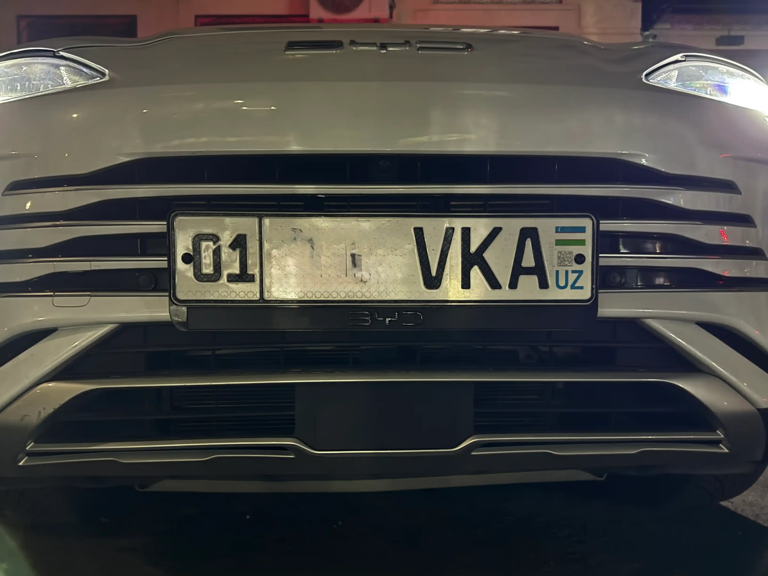BYD CHEMPION DM-i / EV-dagi bamper radiator panjarasi uchun, tosh va axloqsizlikdan himoya