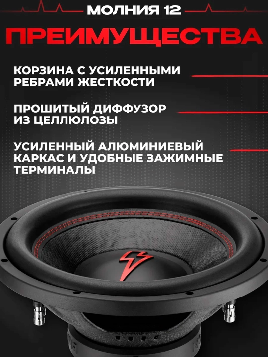 Ural Molniya 12" avtomobil sabvuferi