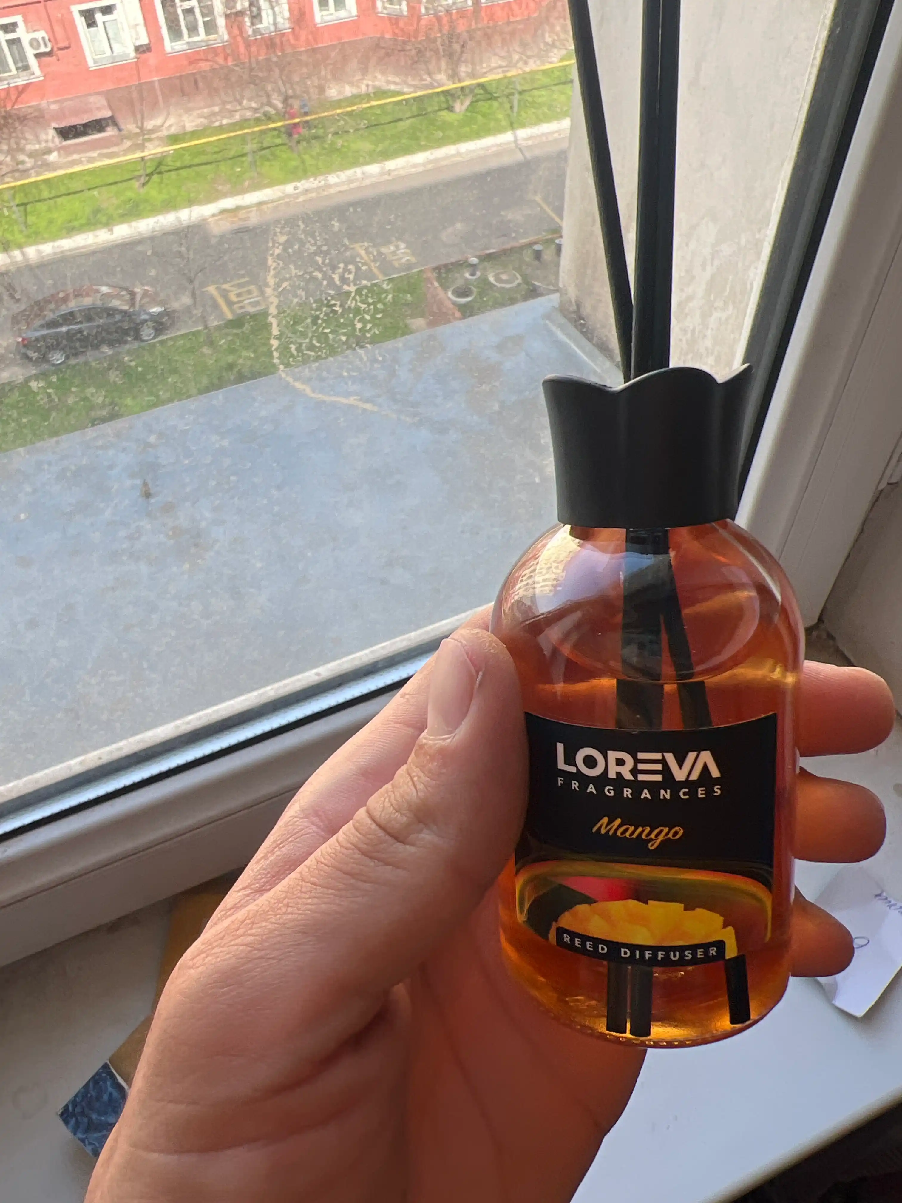 LOREVA Mango tayoqlari bilan uy uchun aromadiffuzor 110 ml sovg'a