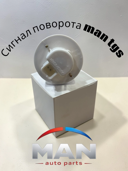 Указатель поворота MAN TGA TGS TGX белый 81253206116