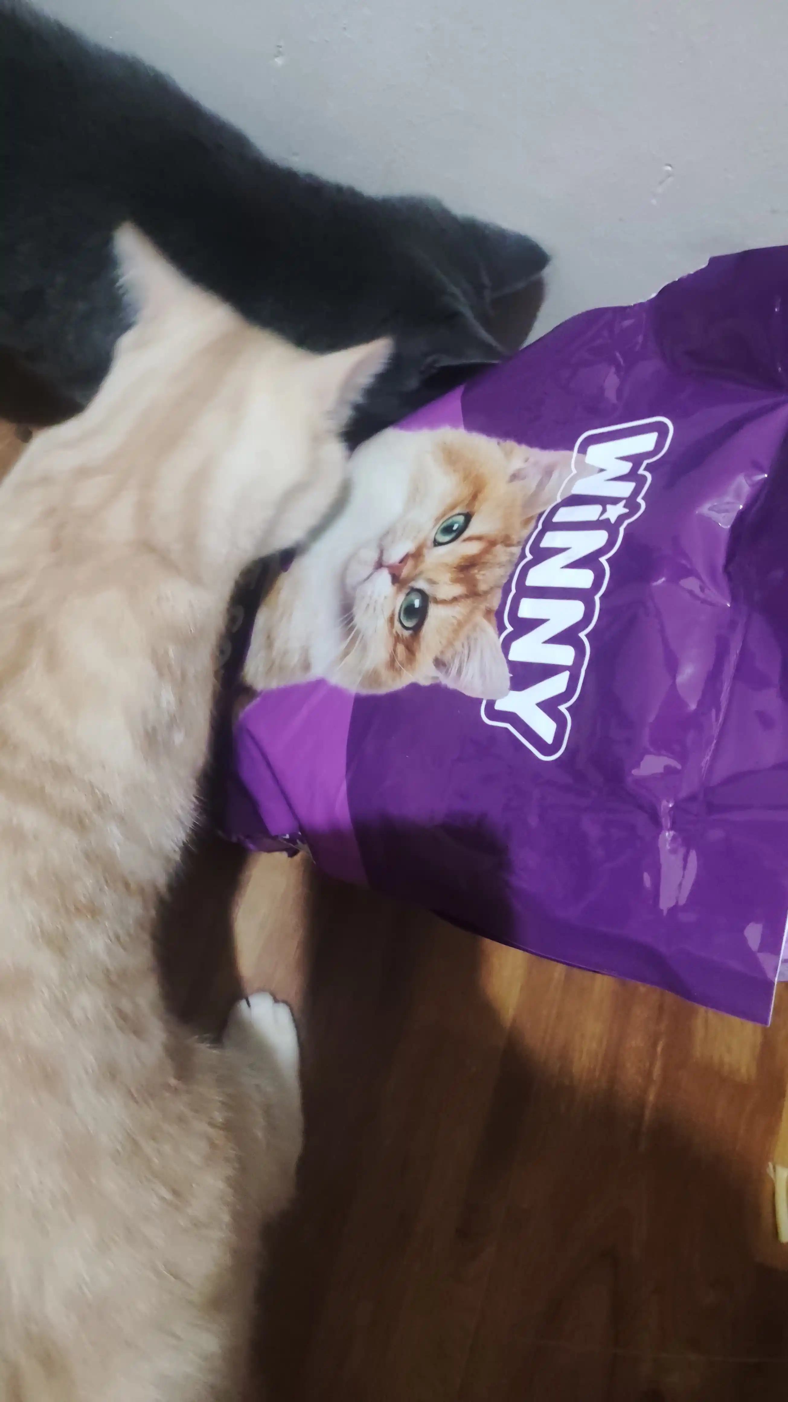 Winny сухой корм для кошек с курицей, 2кг , 10кг