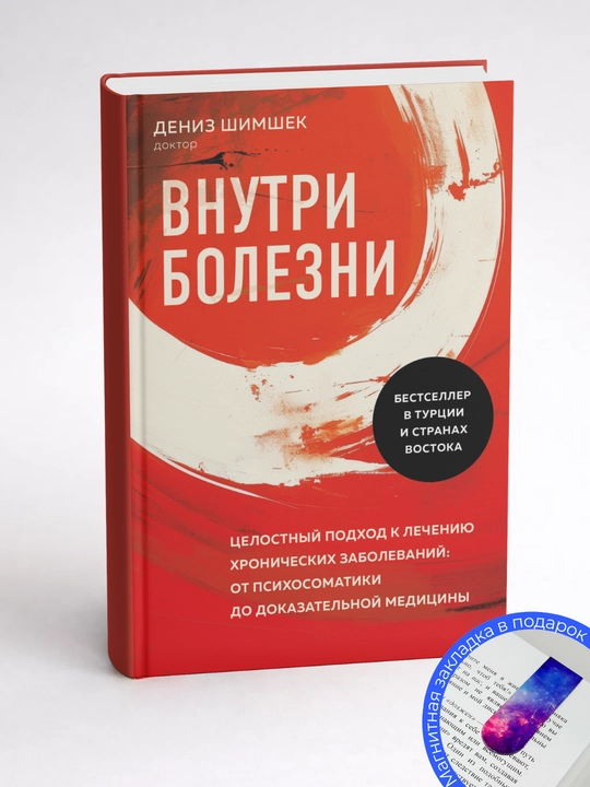 Дениз Шимшек. Внутри болезни. Целостный подход к лечению хронических заболеваний