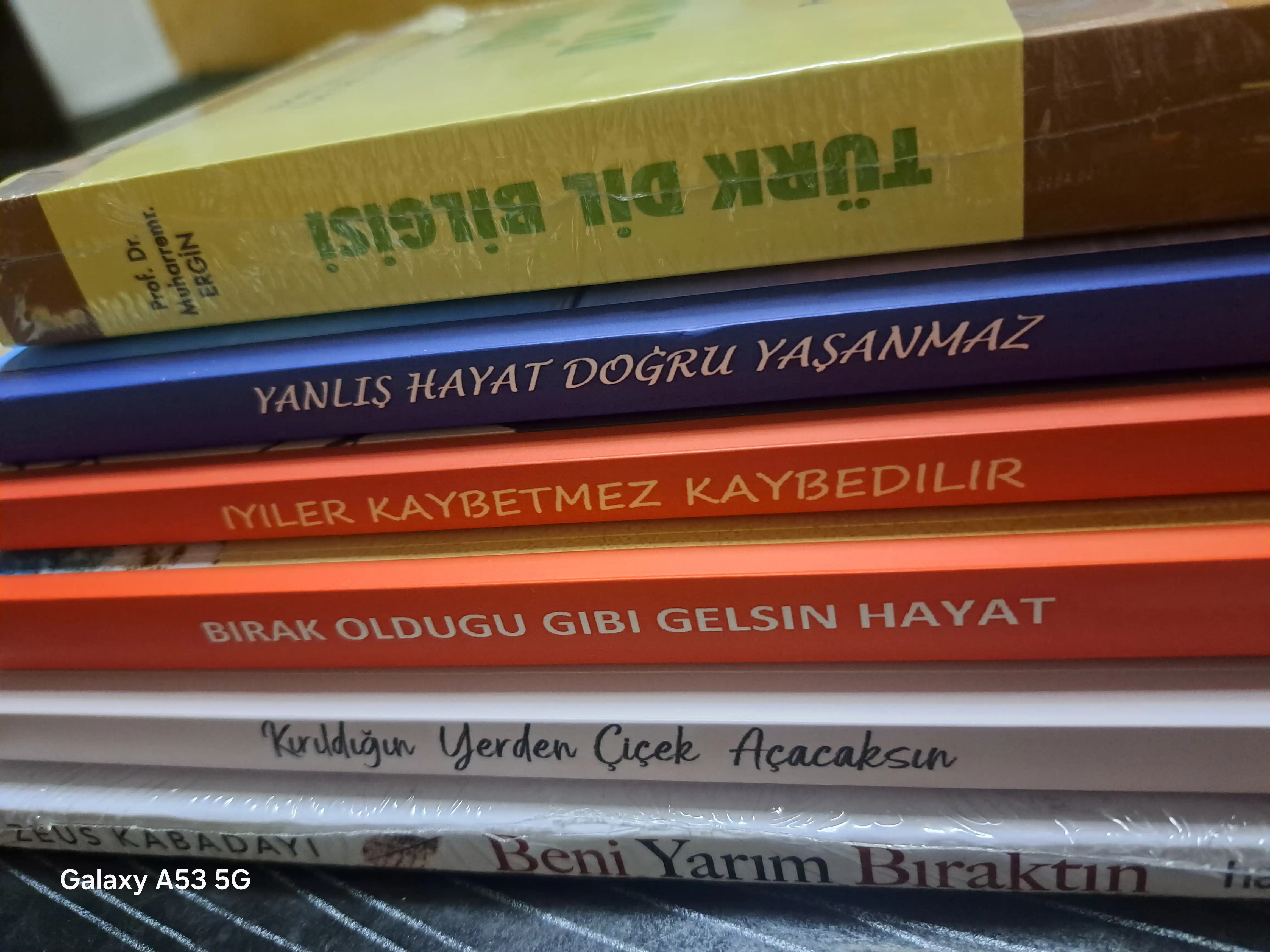 Turk Dil Bilgisi, Prof. Dr. Muharrem Ergin