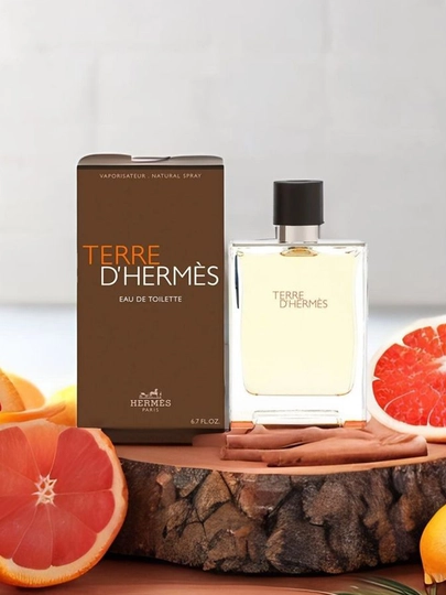 Туалетная вода Hermes Terre D'Hermes, 100 мл , мужская — IMPORTR-HERMES
