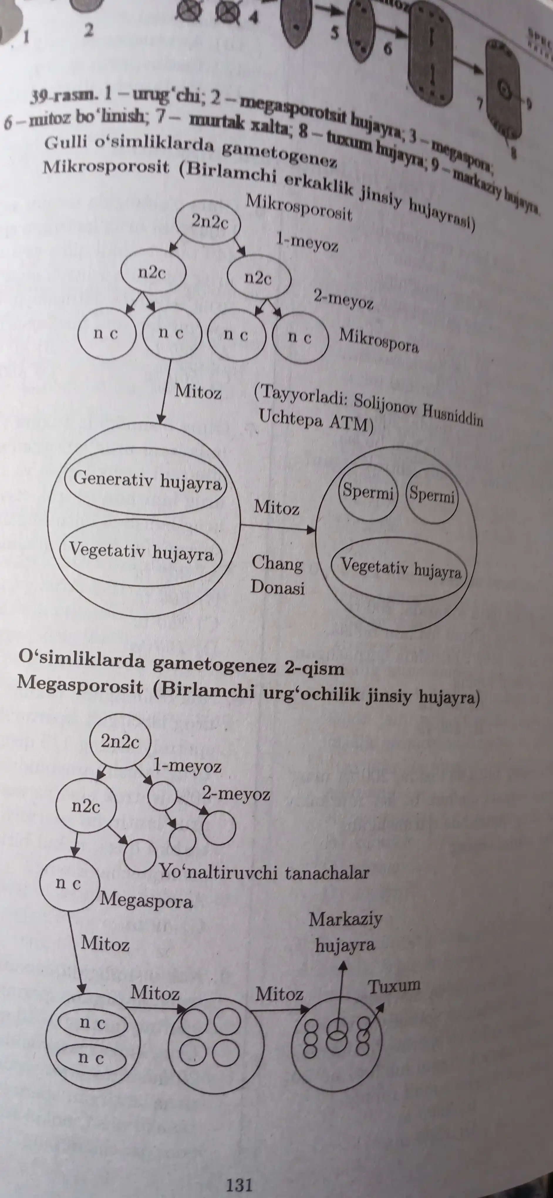 IQTIDOR BIOLOGIYA, masalalar to'plami, Sherbek Xolbo`tayev