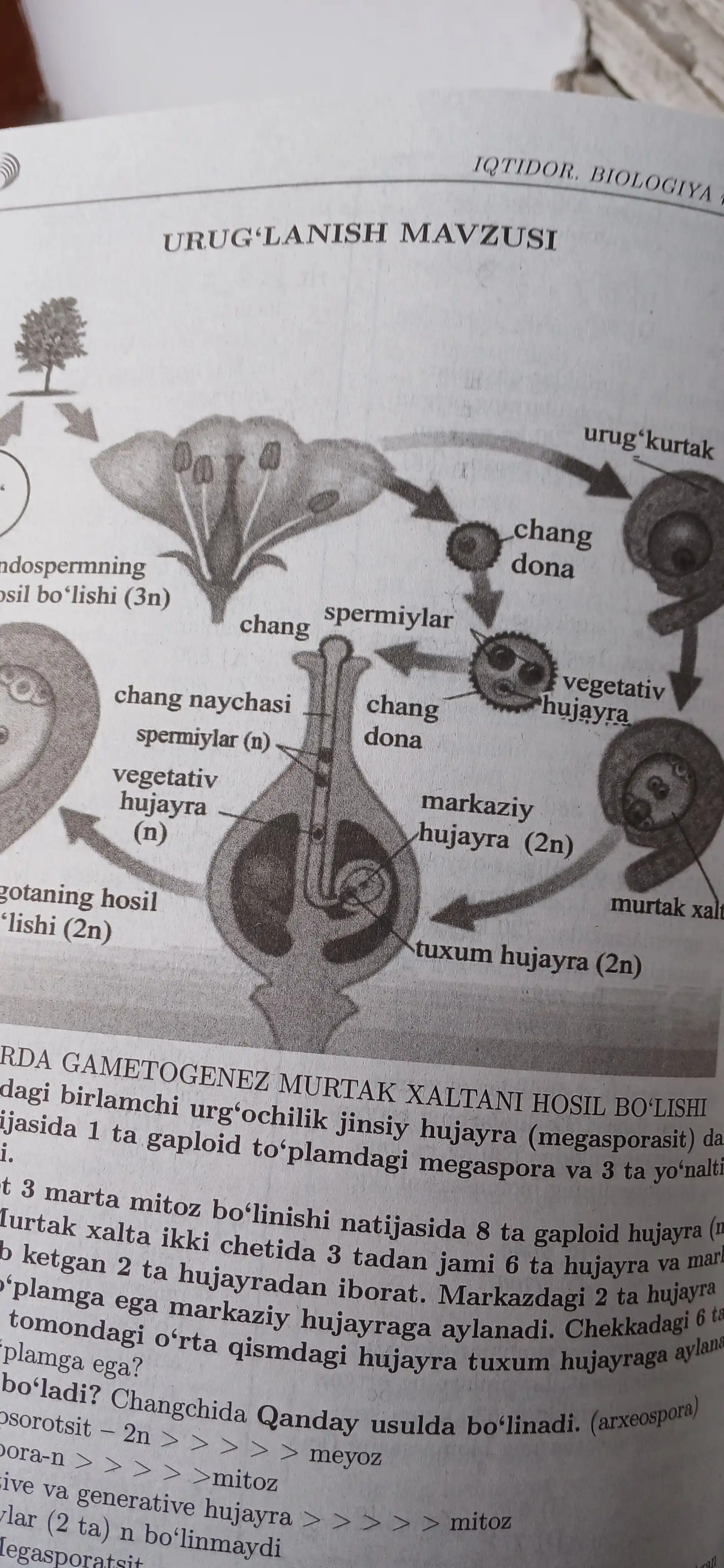 IQTIDOR BIOLOGIYA, masalalar to'plami, Sherbek Xolbo`tayev