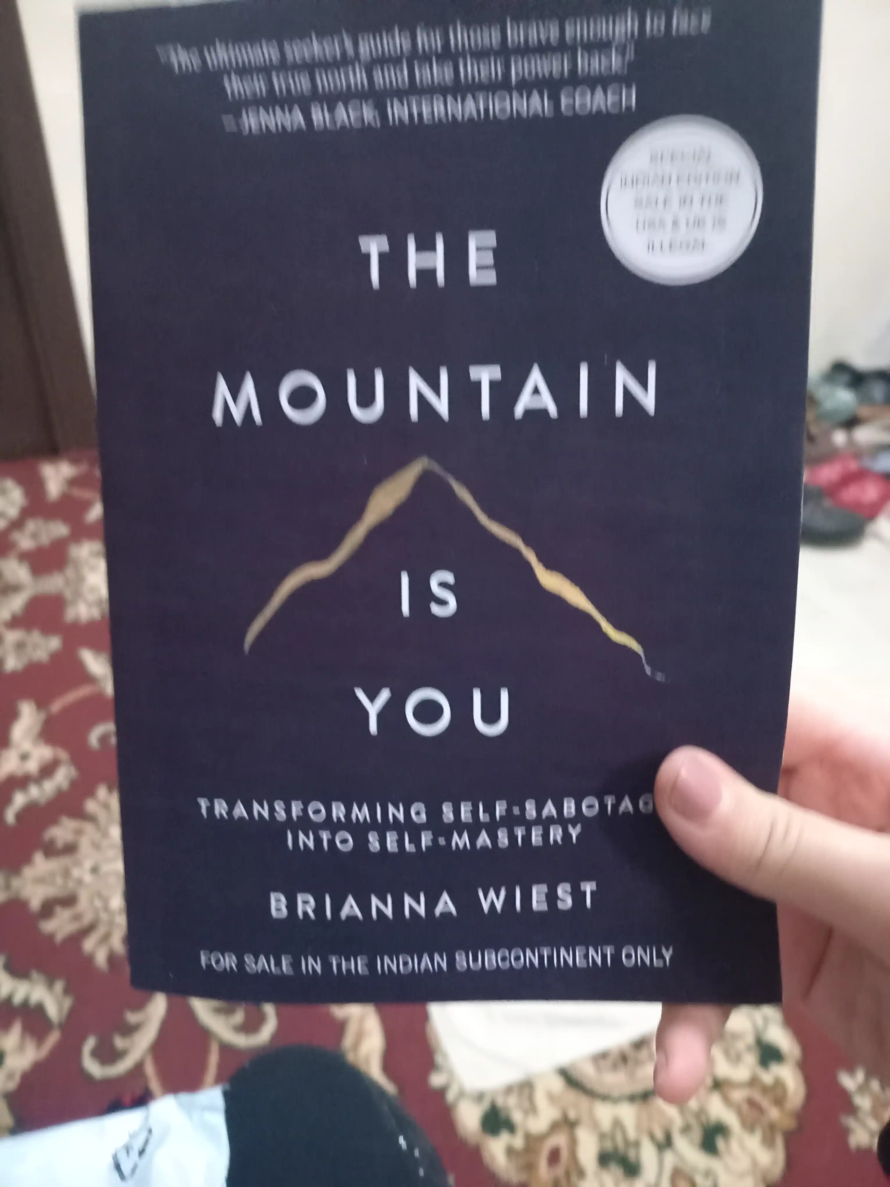 The Mountain is you - Brianna Wiest