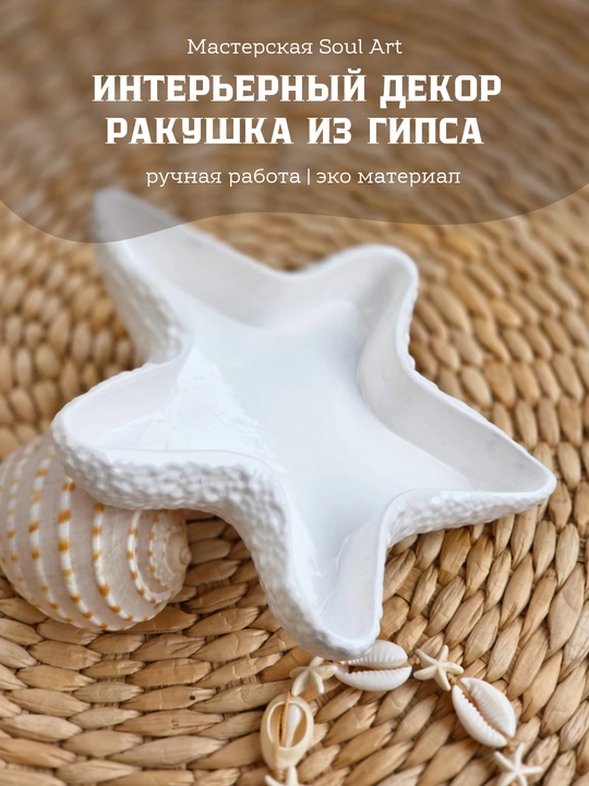 Kichkina buyumlar va zargarlik buyumlari uchun, dekorativ tutqich Chig'anoq Soulart