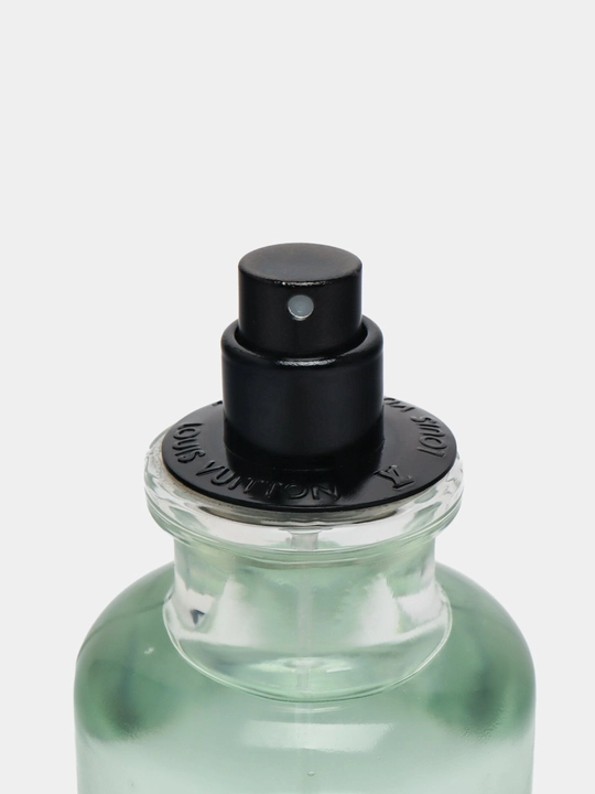 Erkaklar parfumi Imagination Eau de Parfum, 100 ml, sitrus hidli erkaklar atiri