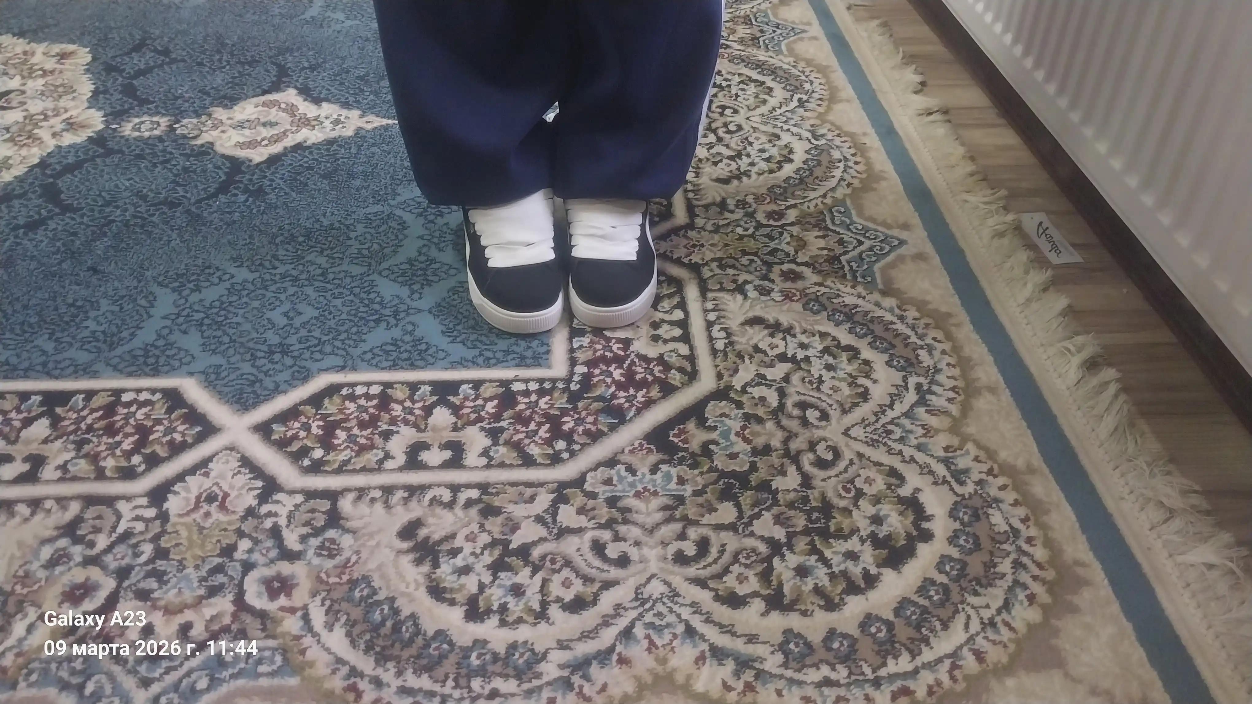 Pumaa- Ayollar Qizlar kuzgi krossovkalari, yuqori sifat, 36:40, kuzgi ayollar krossovkalari
