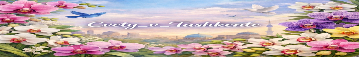 Cvety_v_Tashkente