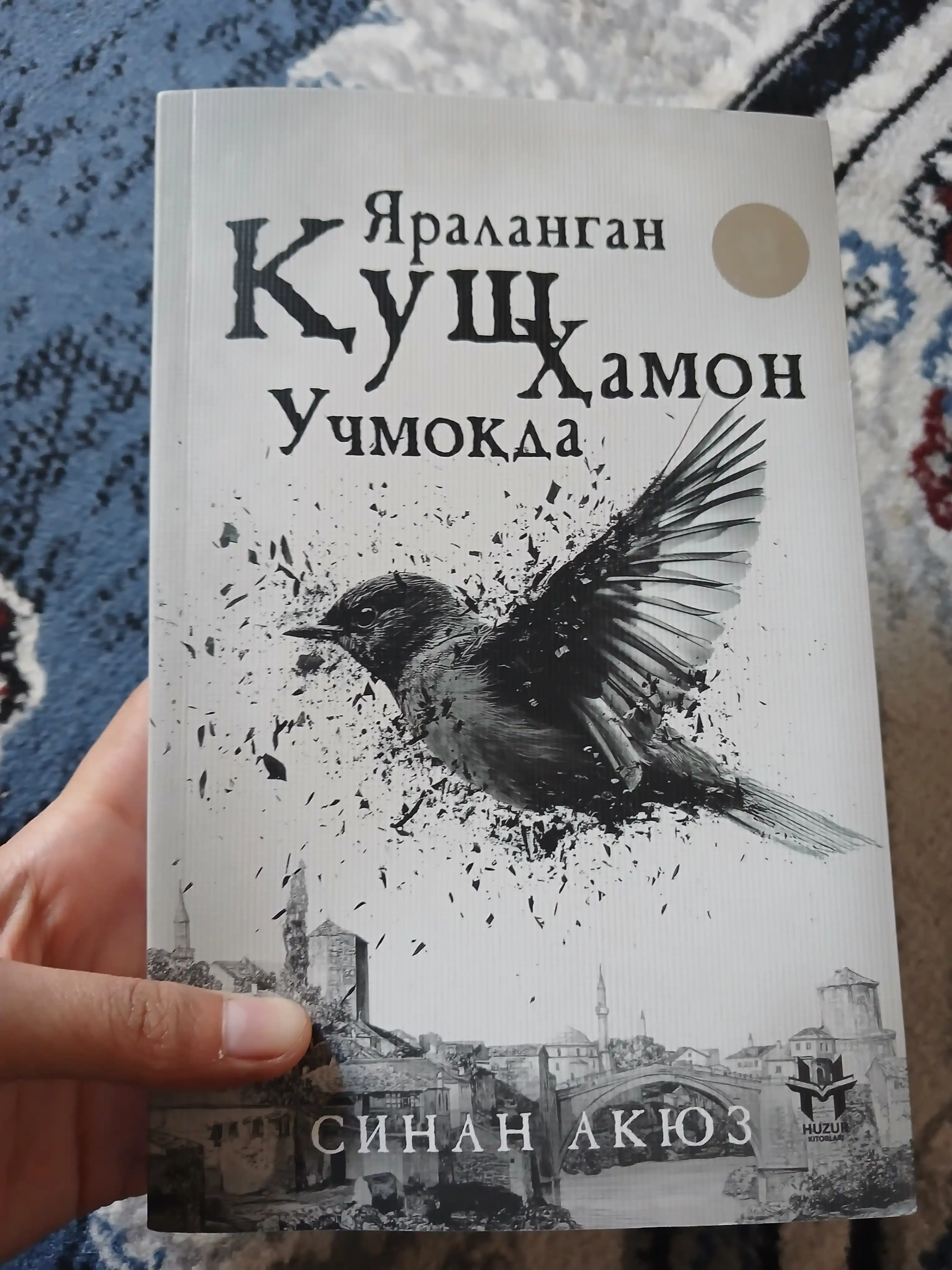Yaralangan qush hamon uchmoqda, Sinan Akyuz