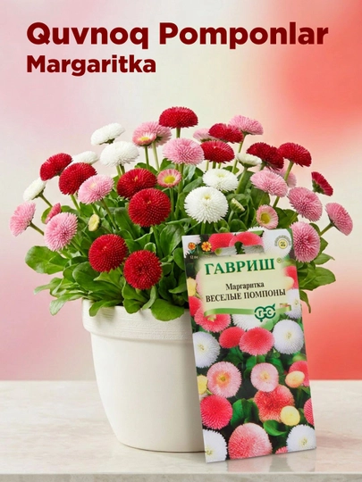 Семена Гавриш "Маргаритка веселые помпоны", цветочная коллекция 005189, 0.02 г — GAVRISH-GV00006
