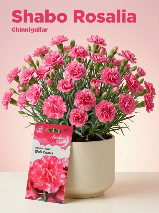 Chinnigullar urug'lari bog' Shabo Rosalia, 0.05 g - 