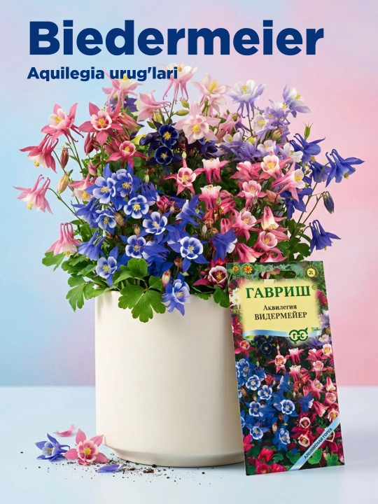 Aquilegia Biedermeier urug'lari, aralashmasi, 0.05 g, Gavrish, Alp tog'lari 1071856764 - 