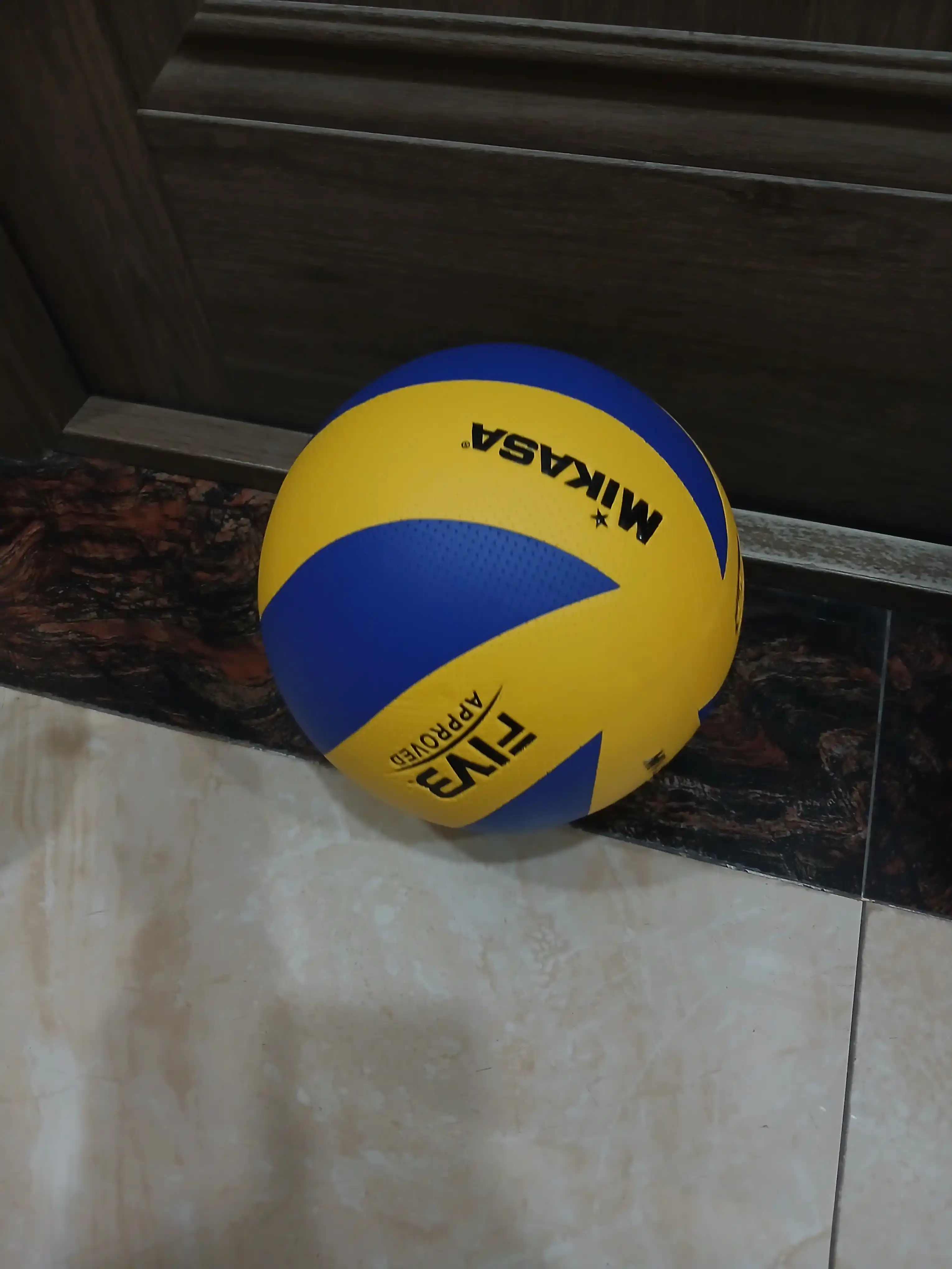 Voleybol toʻpi, nasos va igna sovg'a, sport uchun
