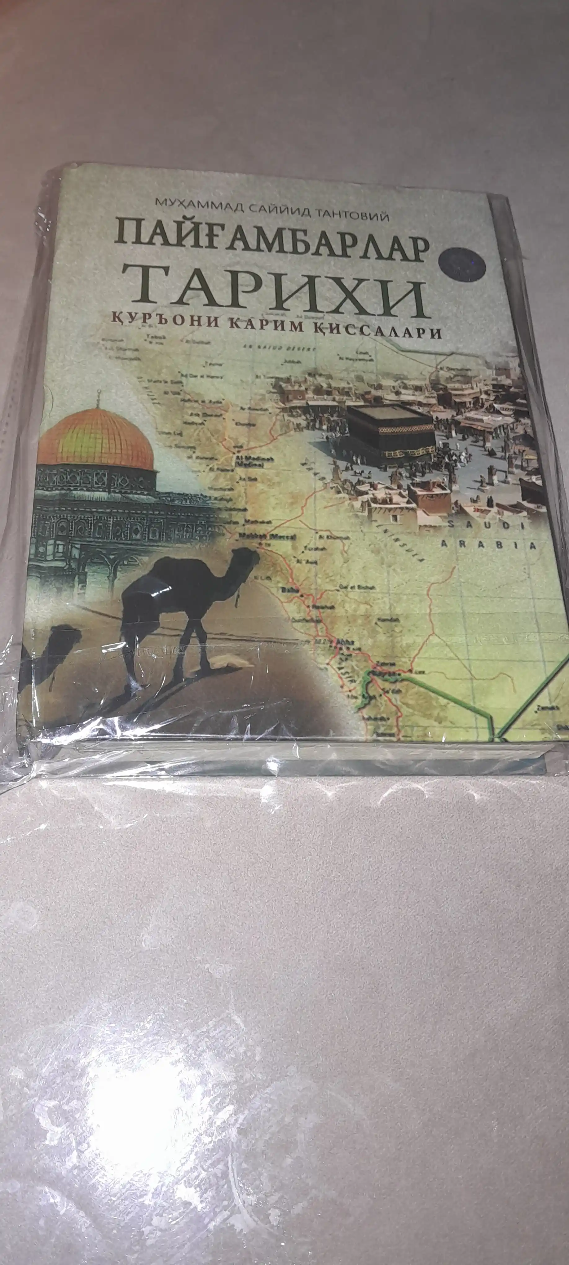Payg‘ambarlar tarixi — Muhammad Sayyid Tantoviy, Qur’oni karim qissalari