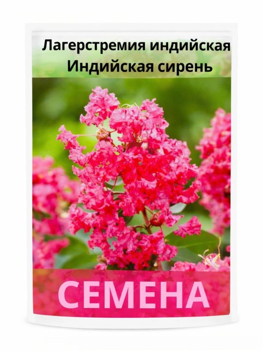 Lagerstremiya, hind sireni - 
