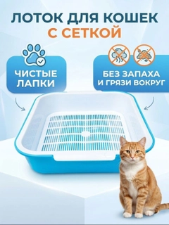Голубой