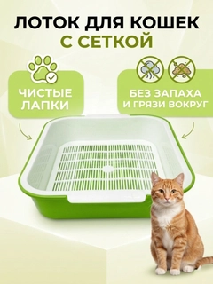 Салатовый