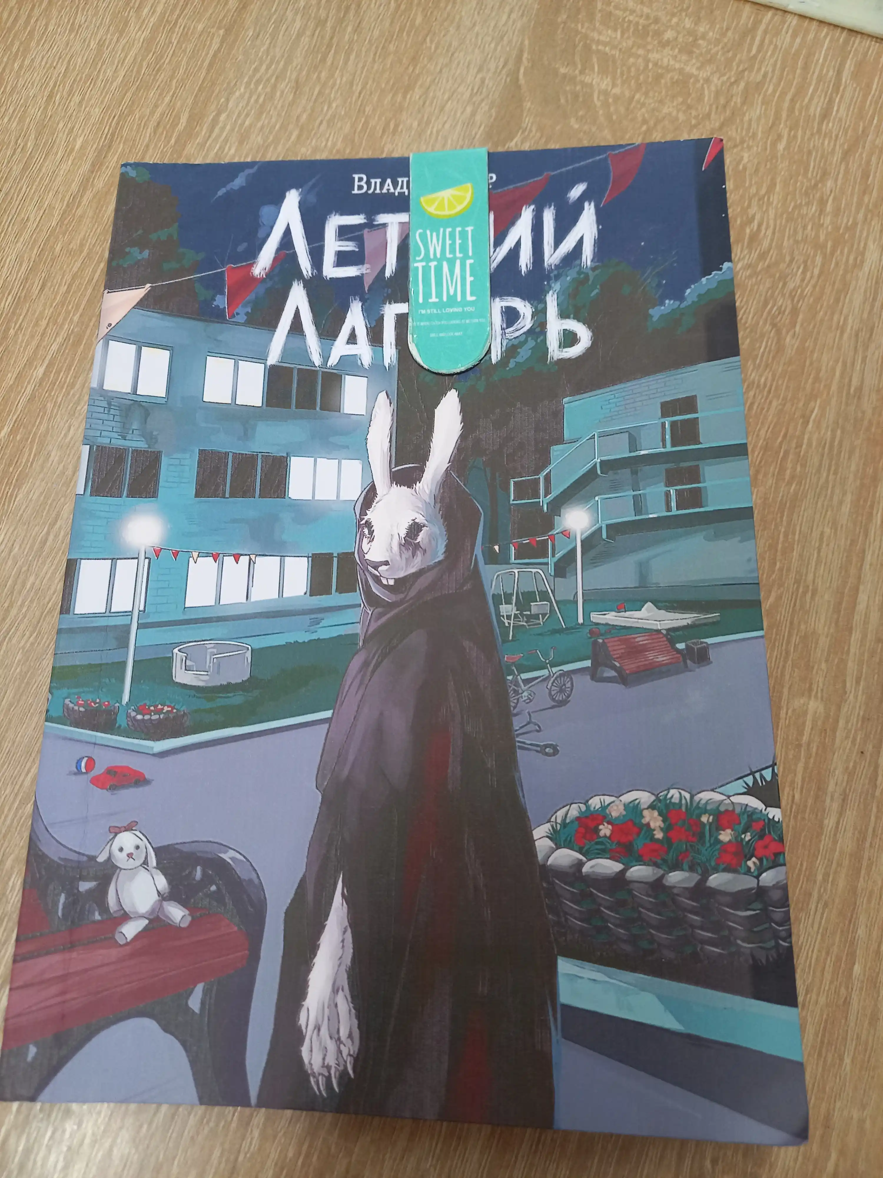 Vlad Rayber, Letniy lager