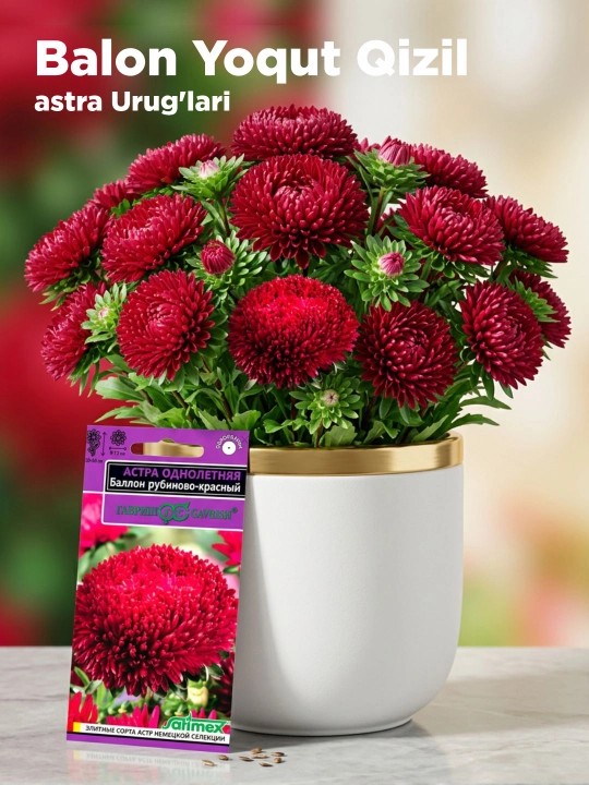 Astra urug'lari balon yoqut qizil, 0,05 g, Gavrish, Satimex 1071856718 - 