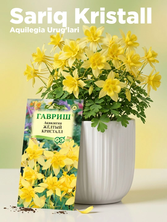 Aquilegia urug'lari, Sariq kristall, 0,05 gr, Gavrish, gullar to'plami - 