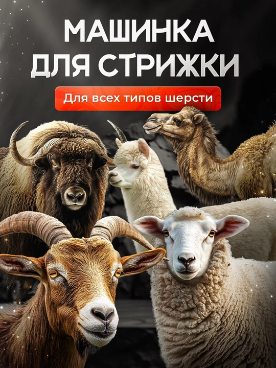 Машинка для стрижки овец, коз и баранов 1720W, профессиональная, 6 режимов, с кейсом