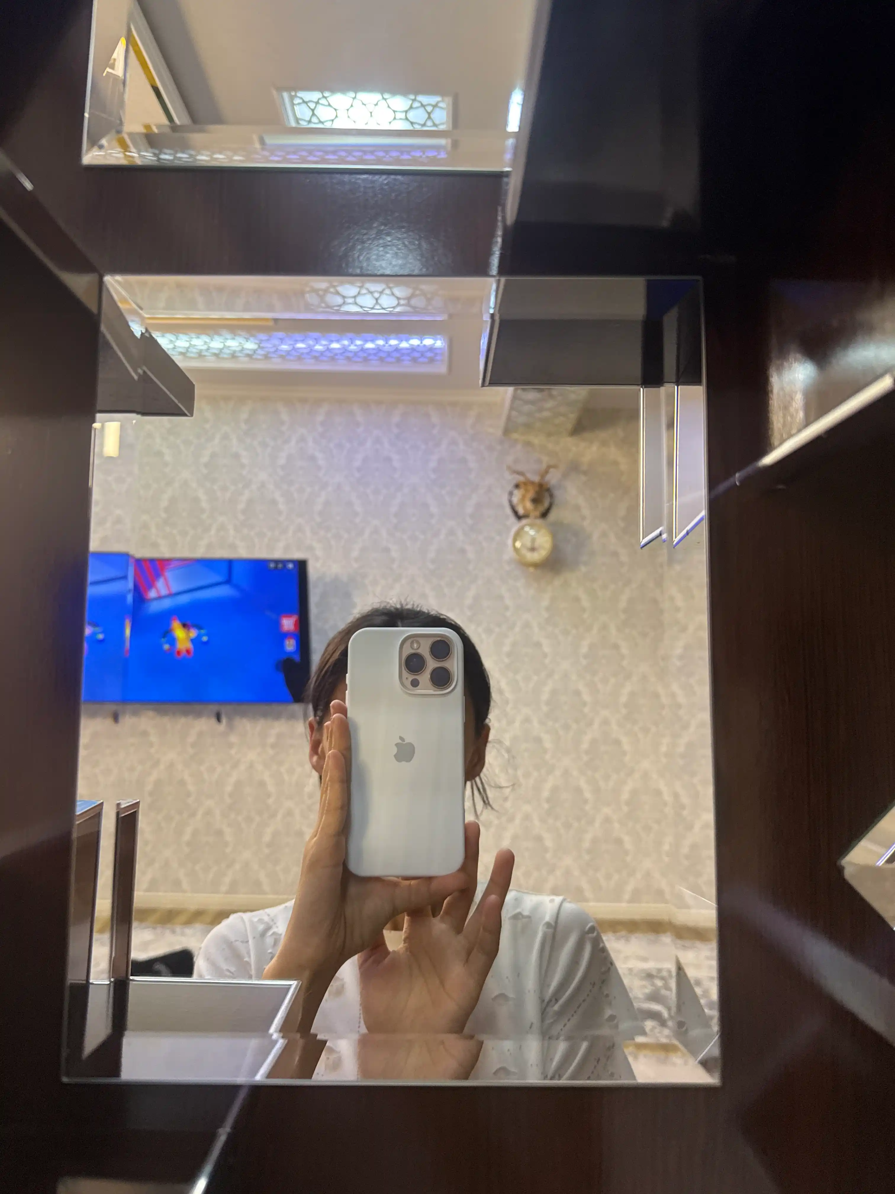Chexol iPhone 13, 14, 15, 16, 17, Pro, ProMAX uchun, silikon