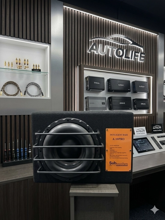 Aktiv sabufer INTELLIGENT, 10 dyum