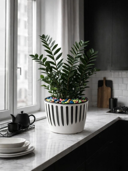 Gul tuvagi to‘plami – uy va balkon uchun zamonaviy dizayn