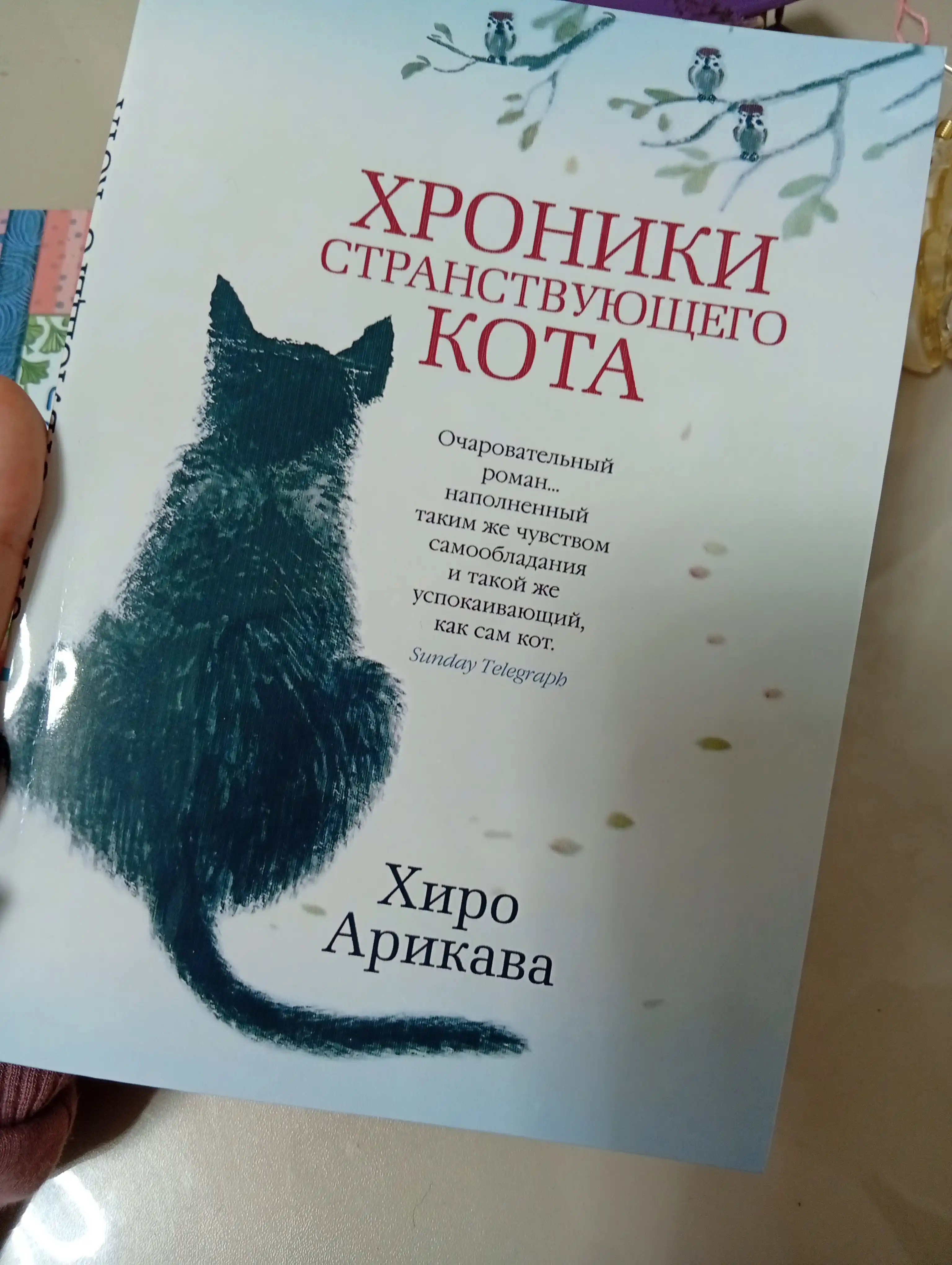 Hroniki stranstvuiushchego kota. Arikava Hiro