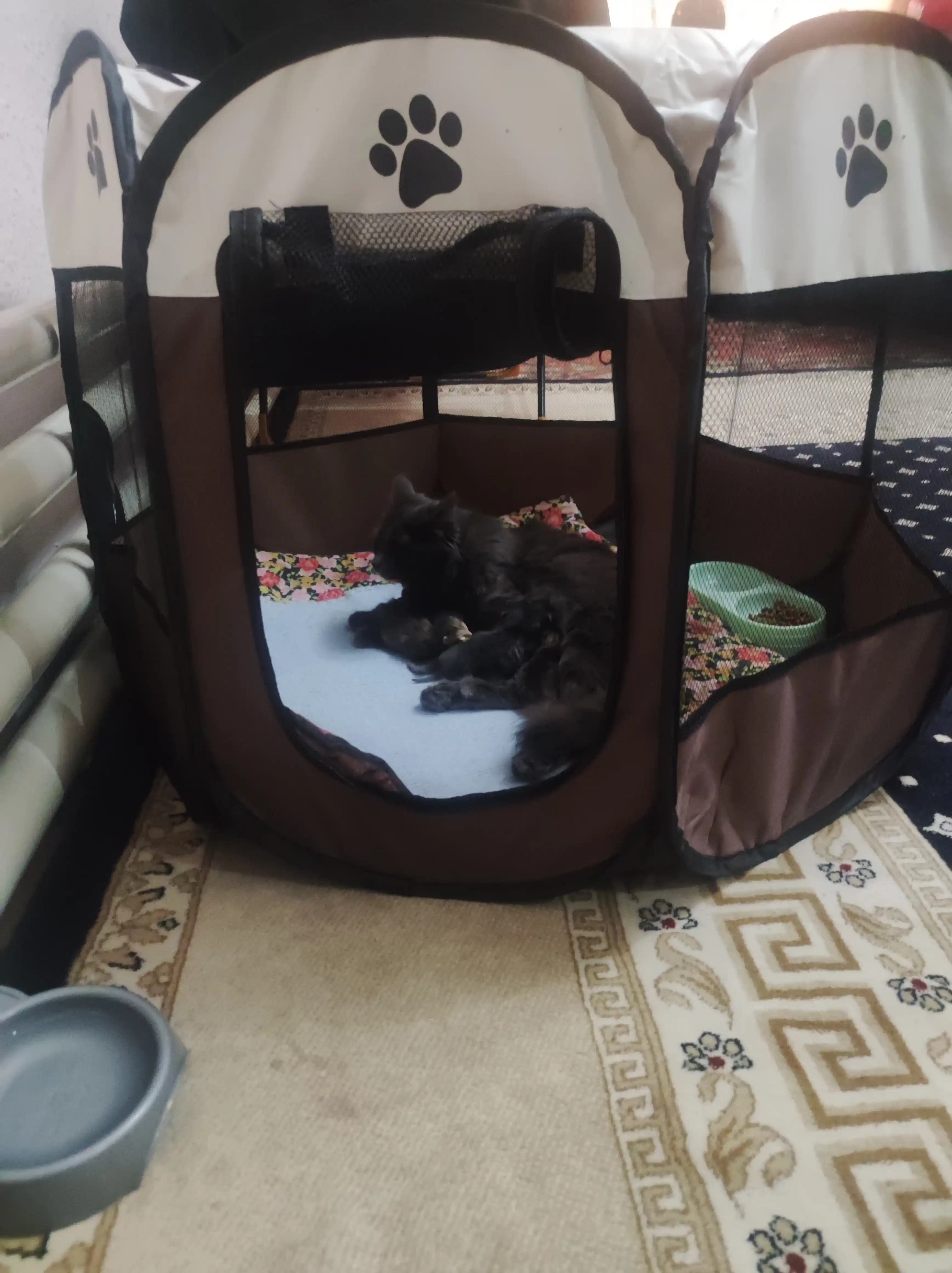 Itlar va mushuklar uchun vayer-manezh, yig‘iladigan, uy va tashqi foydalanish uchun