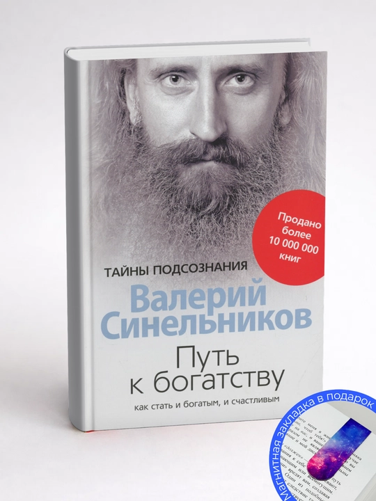 Валерий Владимирович Синельников. Путь к богатству. Как стать и богатым, и счастливым