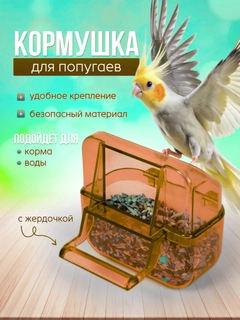 Коричневый