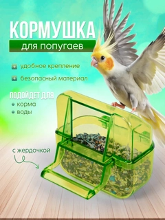 Зеленый