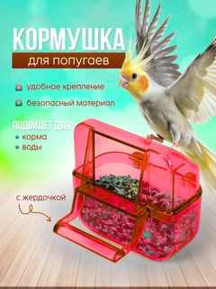 Красный