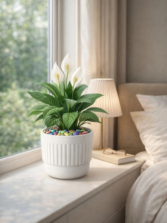 Gul tuvagi to‘plami – uy va balkon uchun zamonaviy dizayn - 