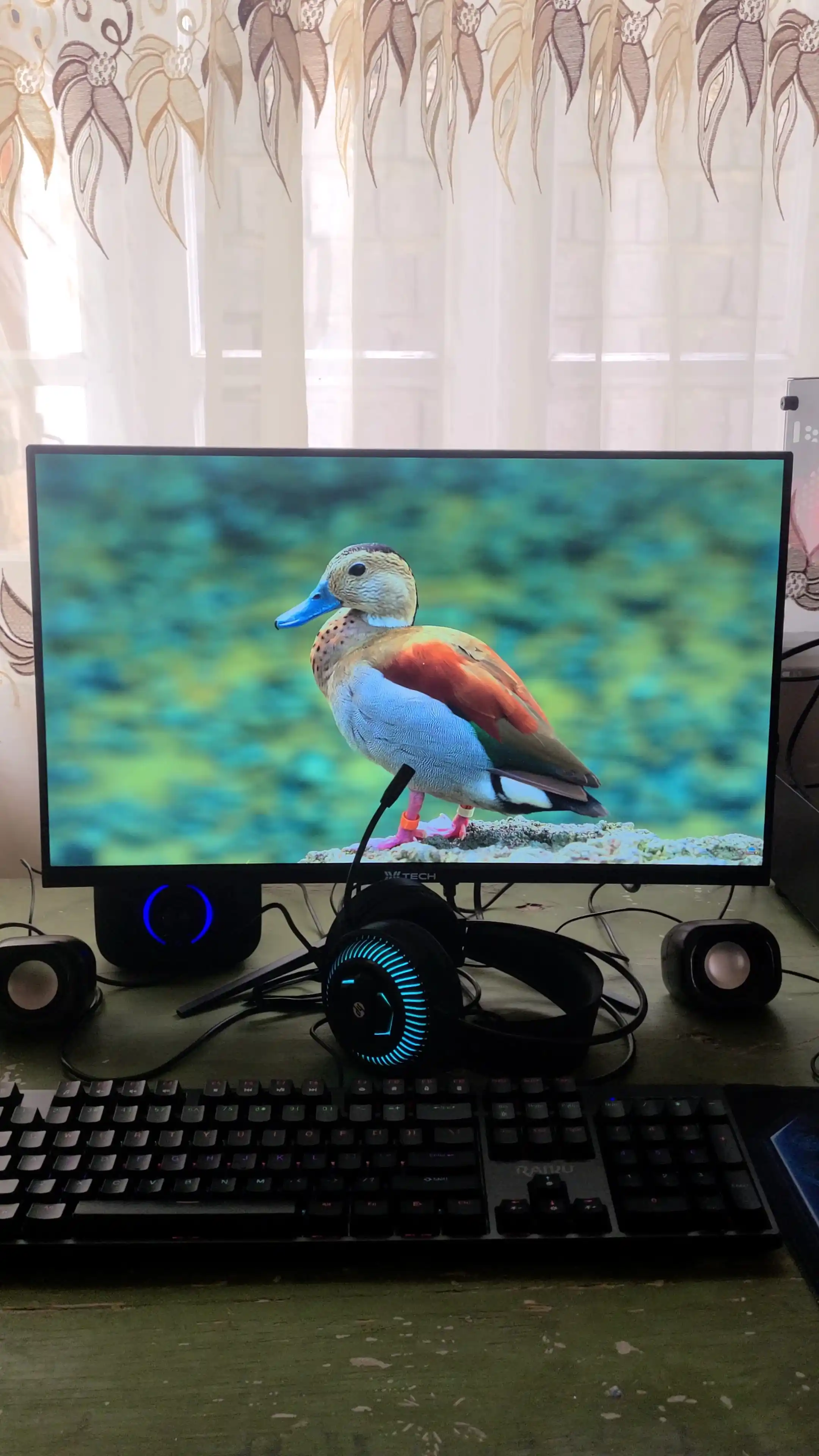 Монитор XTECH, 24",22",29",IPS,FHD,плоский или изогнутый экран,5 мс,для работы,учёбы и игр