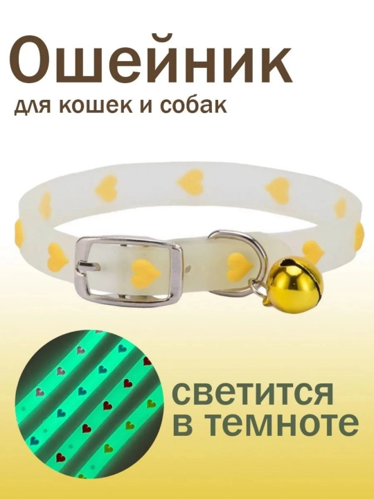 Mushuklar, kichik zotlar, yorqin bo'yinbog' - 