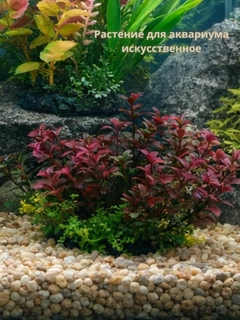 Красный