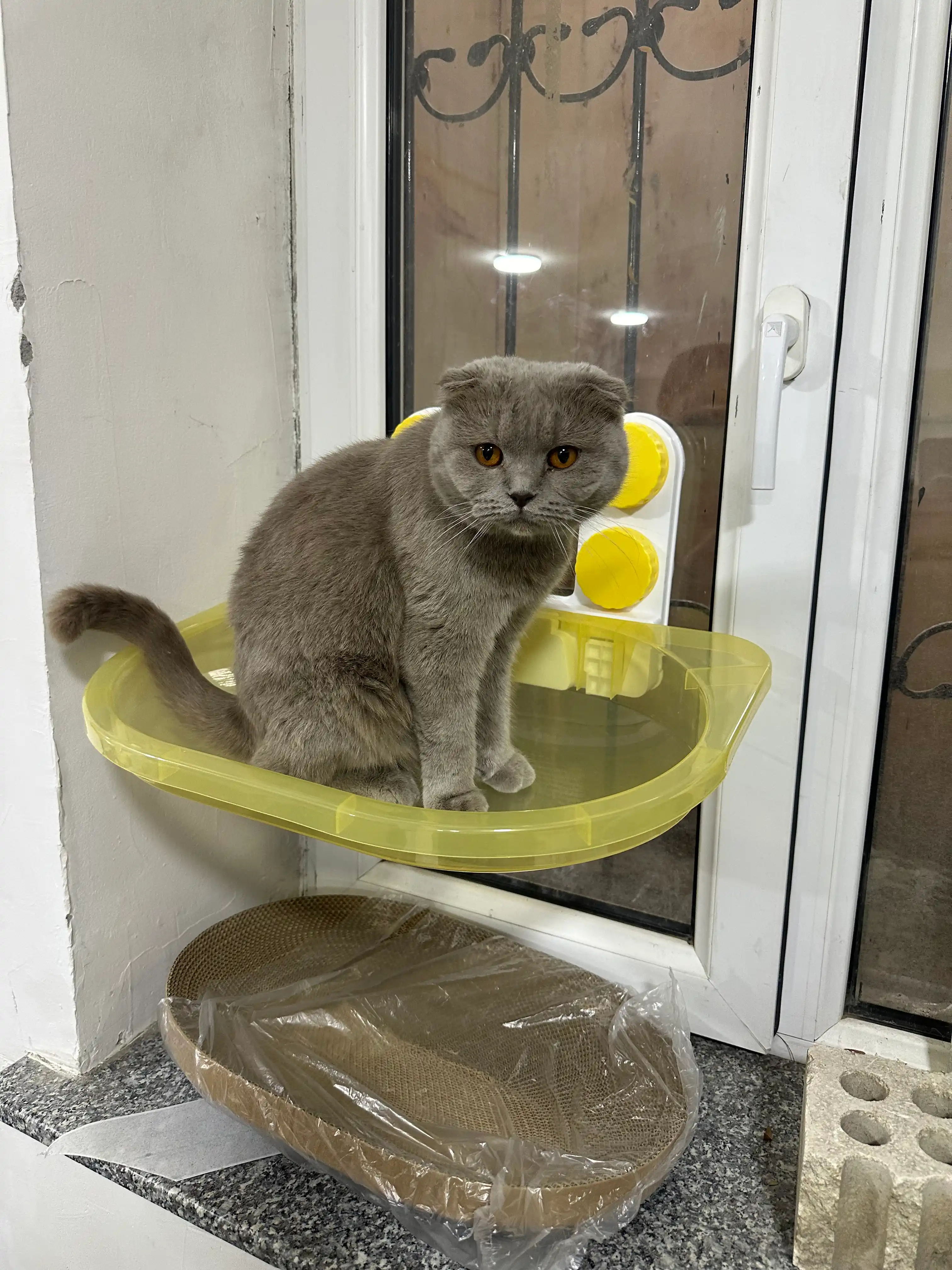 Гамак, домик для кошек, полка для кошек на окно на присосках, Подвесная лежанка,