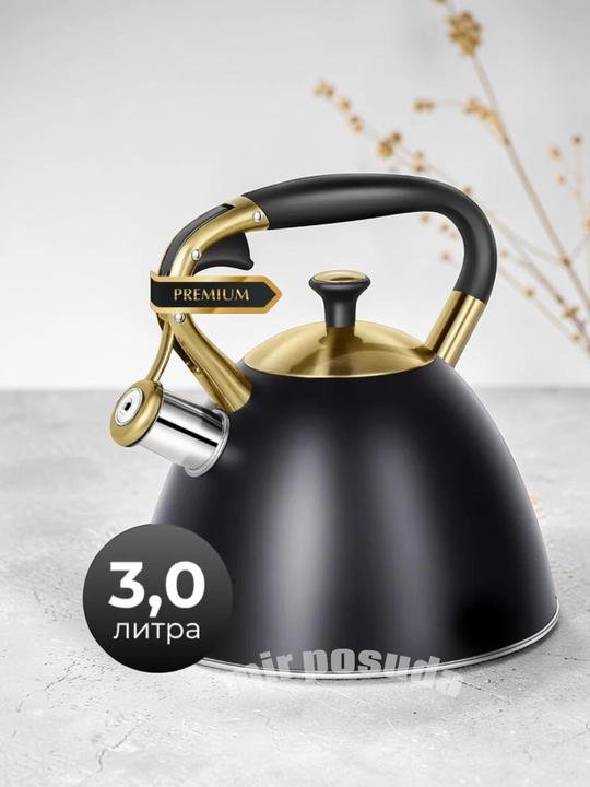 Katta Hajmli 3 L Hushtakli Choynak — Har Xil Plitalar Uchun Mos, Mat Sirt