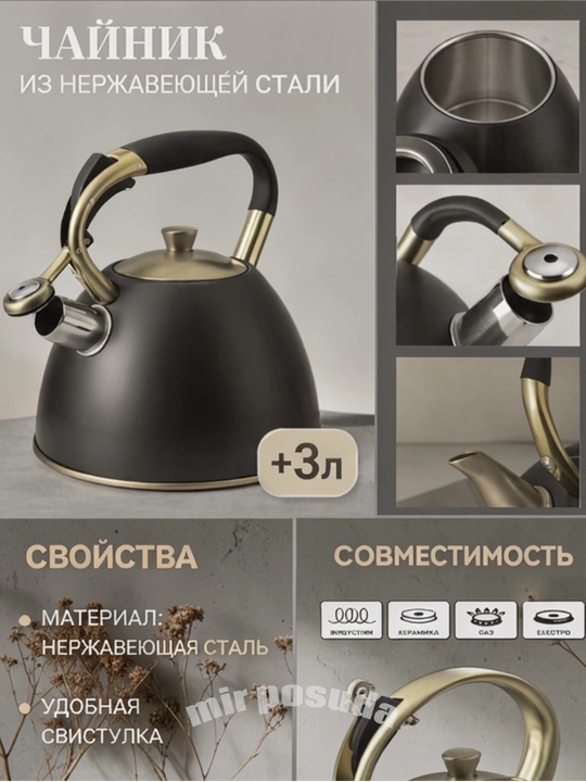 Katta Hajmli 3 L Hushtakli Choynak — Har Xil Plitalar Uchun Mos, Mat Sirt