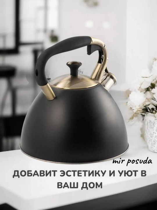 Katta Hajmli 3 L Hushtakli Choynak — Har Xil Plitalar Uchun Mos, Mat Sirt