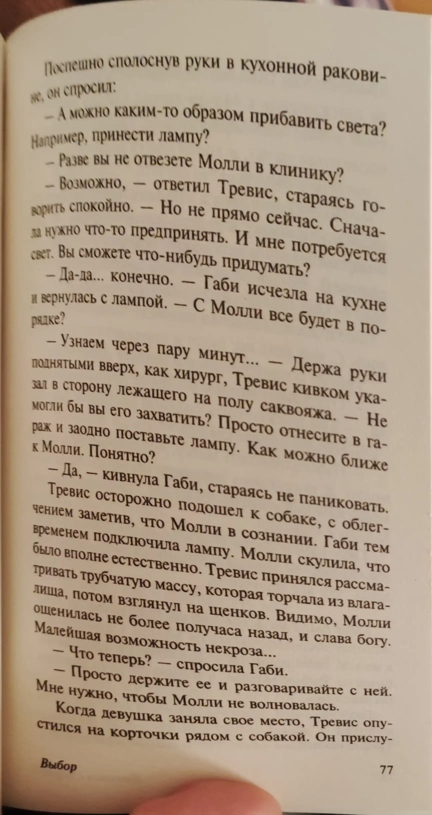 Vybor, Nikolas Sparks
