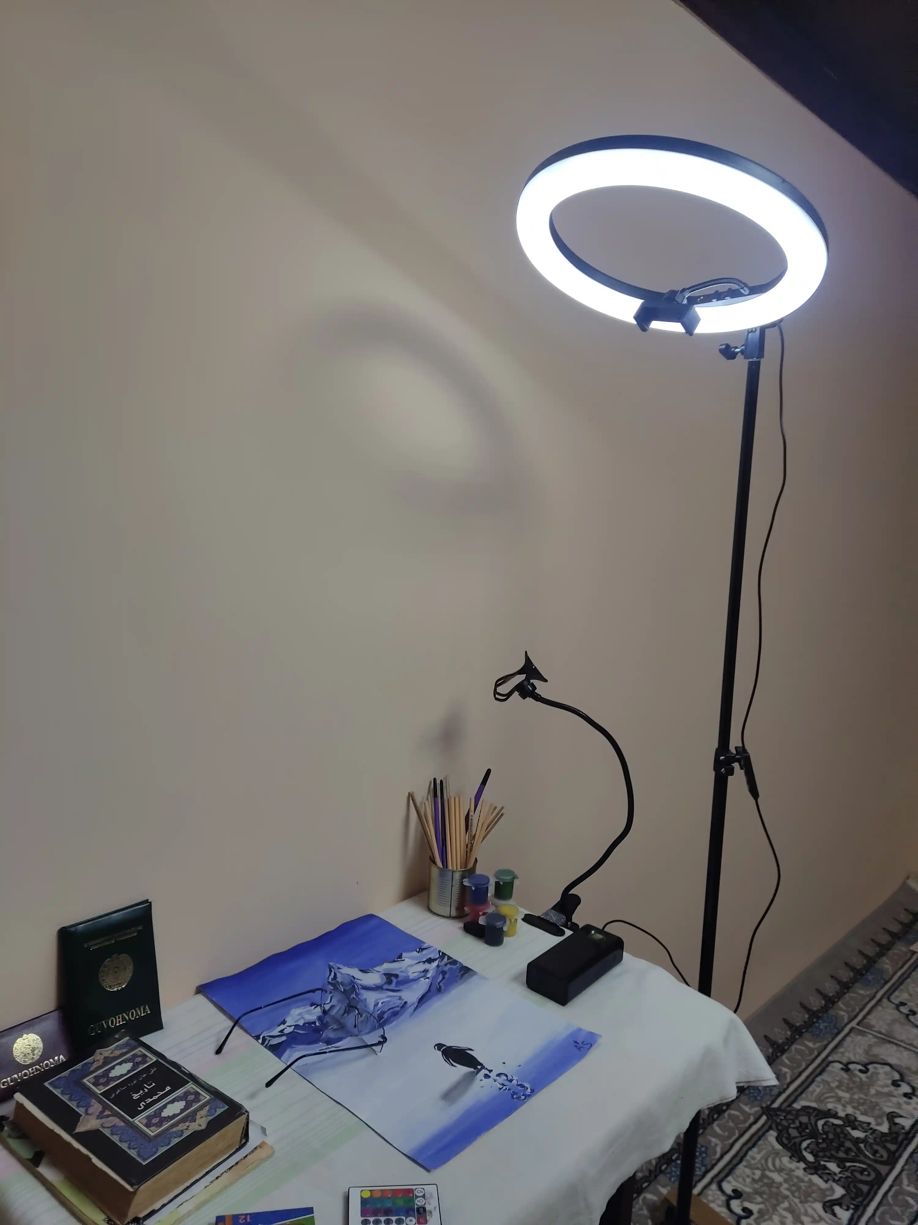 Selfi lampasi, halqali, RGB, LED, shtativ bilan, 210 sm BD 330